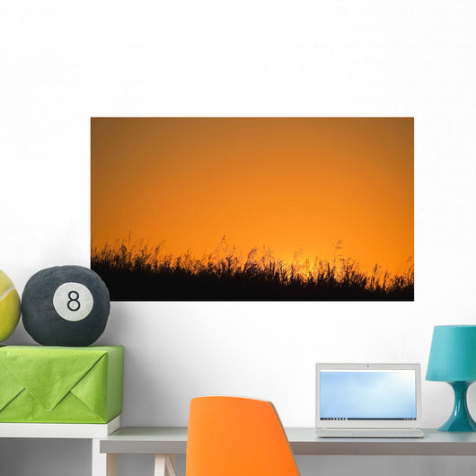 A Grassy Field With The Sun Setting Behind It Wall Mural