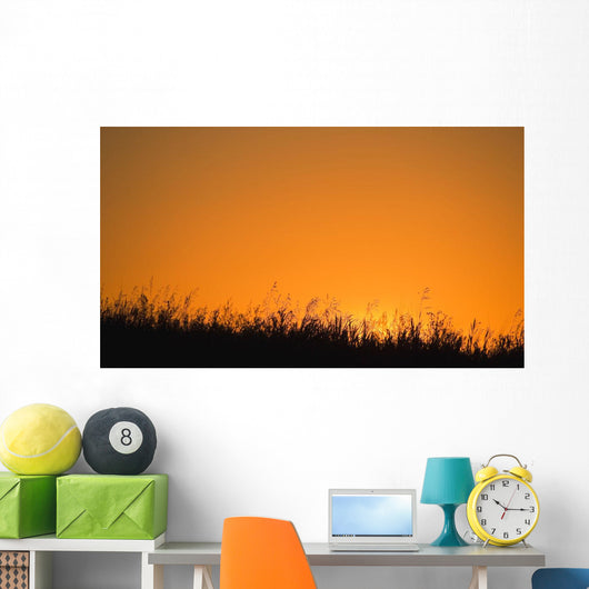 A Grassy Field With The Sun Setting Behind It Wall Mural