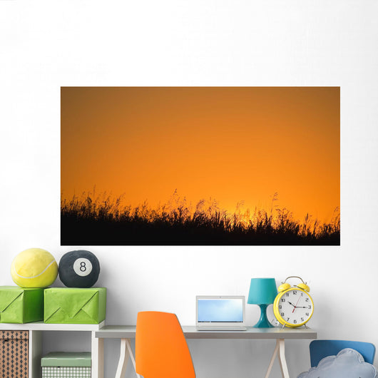 A Grassy Field With The Sun Setting Behind It Wall Mural