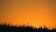 A Grassy Field With The Sun Setting Behind It Wall Mural
