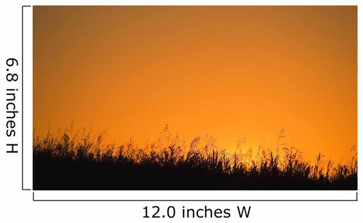 A Grassy Field With The Sun Setting Behind It Wall Mural