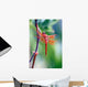 red dragonfly Wall Mural