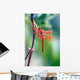 red dragonfly Wall Mural