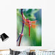 red dragonfly Wall Mural