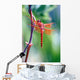 red dragonfly Wall Mural