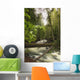 A Rushing River In A Forest Wall Mural