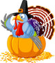 Pilgrim Turkey Pumpkin