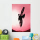 Silhouette Stunt Bike Rider Wall Mural