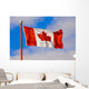 A Canada Flag Wall Mural