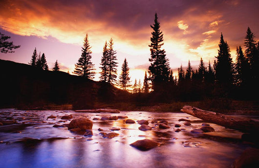 A Beautiful Landscape Scene Wall Mural