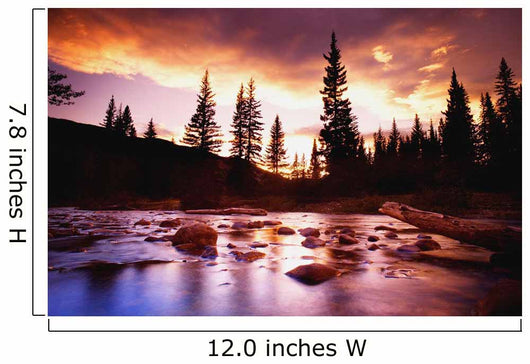 A Beautiful Landscape Scene Wall Mural