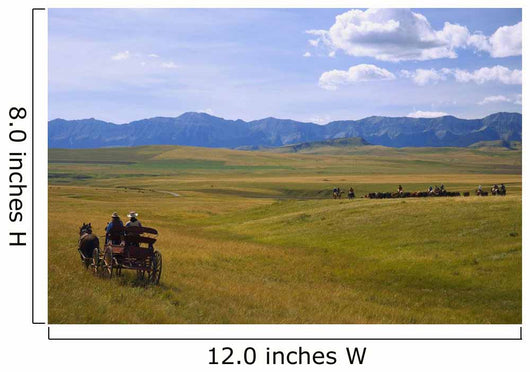 Cowboys And Wagon On A Cattle Drive Wall Mural