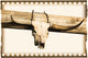 Longhorn Cow Skull Wall Mural
