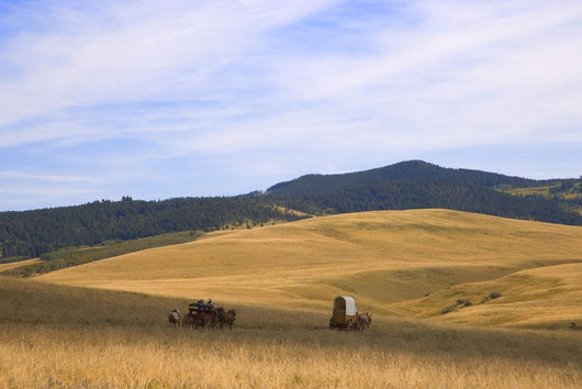 Chuck Wagons Crossing The Prairies Wall Mural