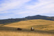 Chuck Wagons Crossing The Prairies Wall Mural