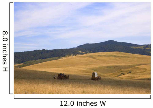 Chuck Wagons Crossing The Prairies Wall Mural
