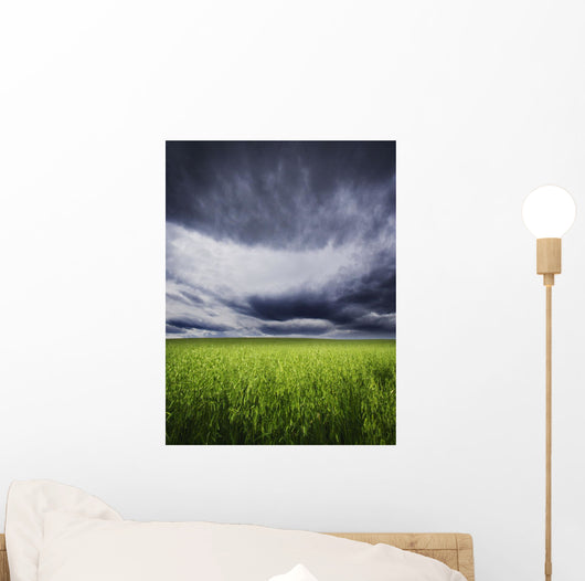 A Stormy Sky Wall Mural