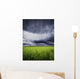 A Stormy Sky Wall Mural