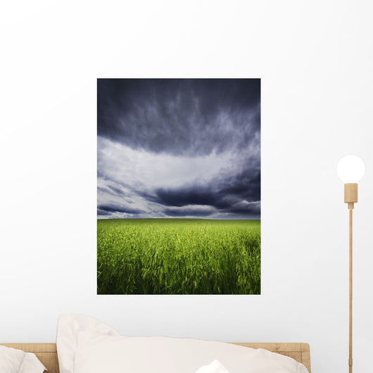 A Stormy Sky Wall Mural