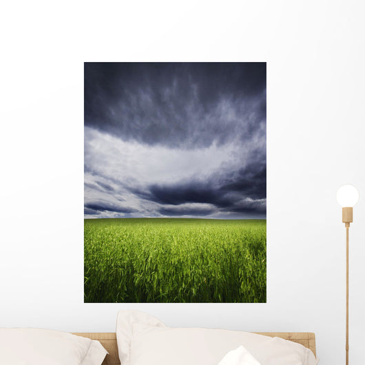 A Stormy Sky Wall Mural