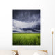 A Stormy Sky Wall Mural