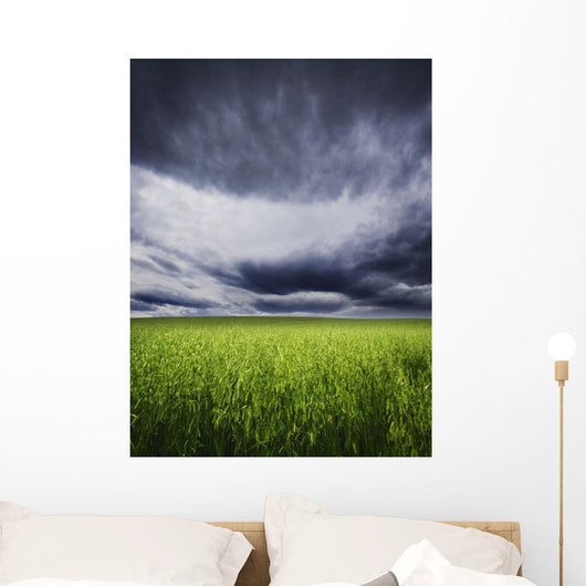 A Stormy Sky Wall Mural