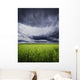 A Stormy Sky Wall Mural