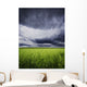 A Stormy Sky Wall Mural