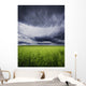 A Stormy Sky Wall Mural
