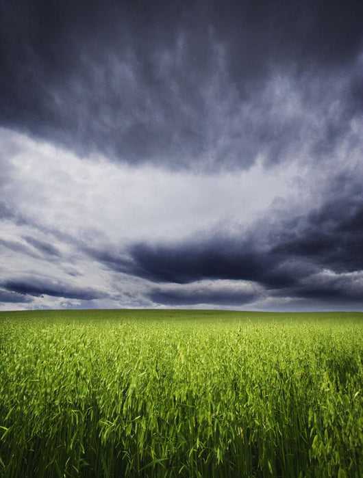 A Stormy Sky Wall Mural