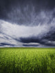 A Stormy Sky Wall Mural