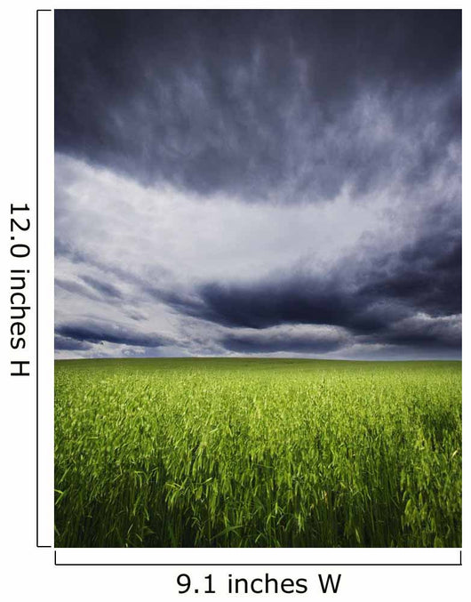 A Stormy Sky Wall Mural