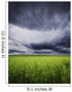 A Stormy Sky Wall Mural