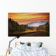 An Oncoming Train Wall Mural