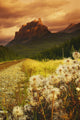 A Country Road With A Mountain In The Background Wall Mural