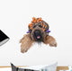 hairstyle Wall Decal