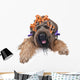 hairstyle Wall Decal