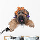 hairstyle Wall Decal