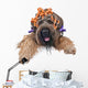 hairstyle Wall Decal