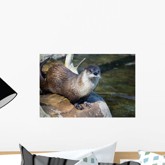 River Otter Wall Mural
