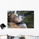 River Otter Wall Mural