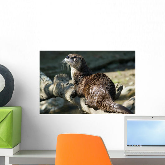 River Otter Wall Mural