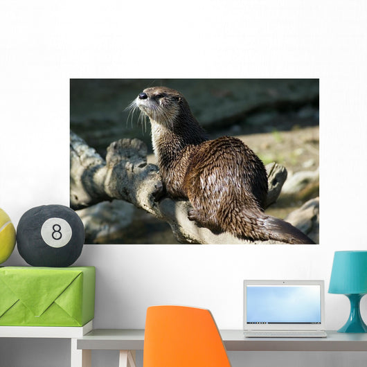 River Otter Wall Mural