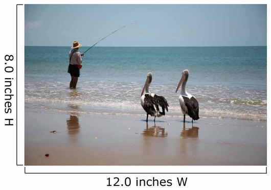 Fishing with Birds