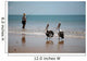 Fishing with Birds