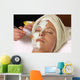 spa salon facial masque application Wall Mural