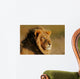 African Lion Wall Mural