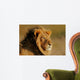 African Lion Wall Mural