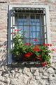 Italian Window Wall Mural
