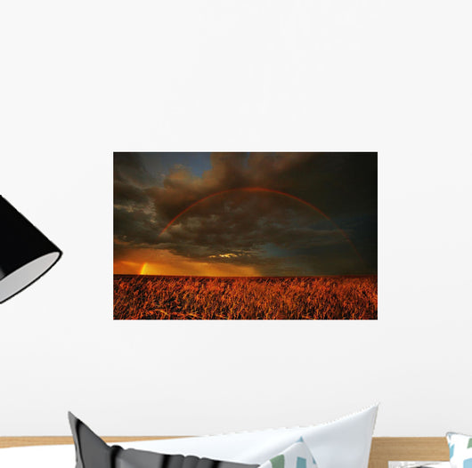 Rainbow Above Farmer's Field Wall Mural